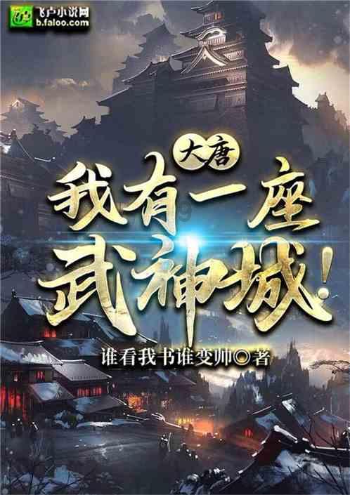 极品飞车17