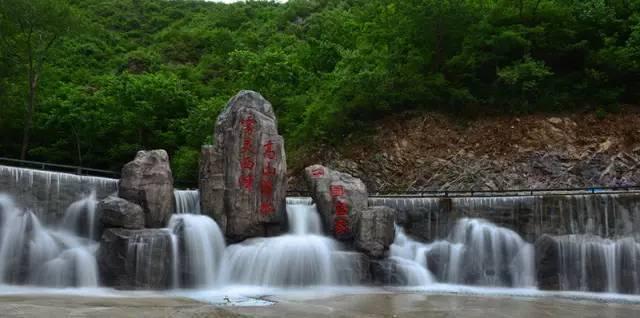 春雨直播app