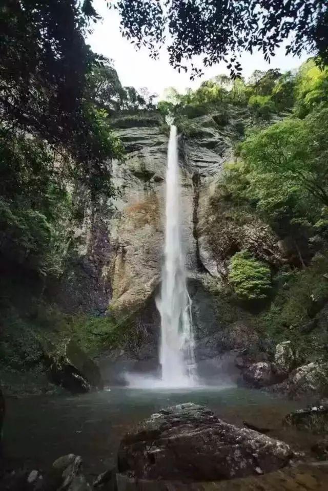 中粮资本3涨停